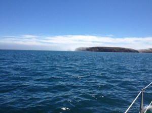 Looking back at the fog