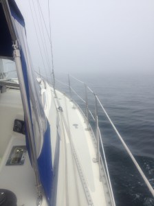 Foggy but calm