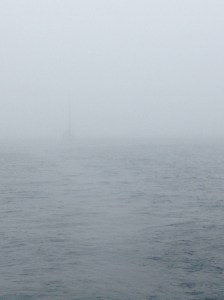 Andante coming out of the fog