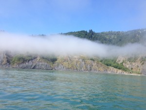 Shelter Cove unveiling itself