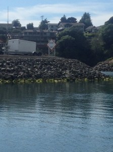 Rough Bar - this has a different meaning at river entrances!