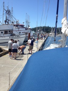 Crabbing on the dock