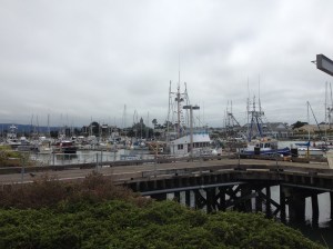 View of Woodley Island Marina