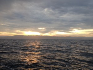 A prettier shot a little later