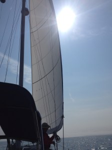 Sail up and sun shining!