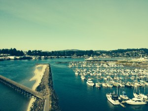 View of Newport Marina