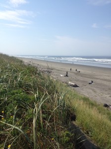 Gray's harbor beaches