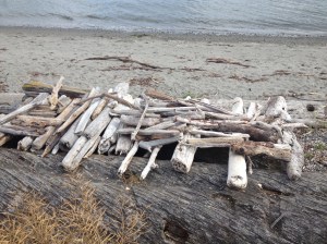 Pretty beaches at Port Townsend