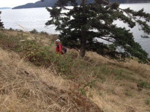 Ralph the blackbery hunter