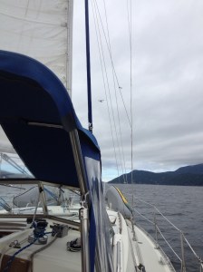 sailing to orcas