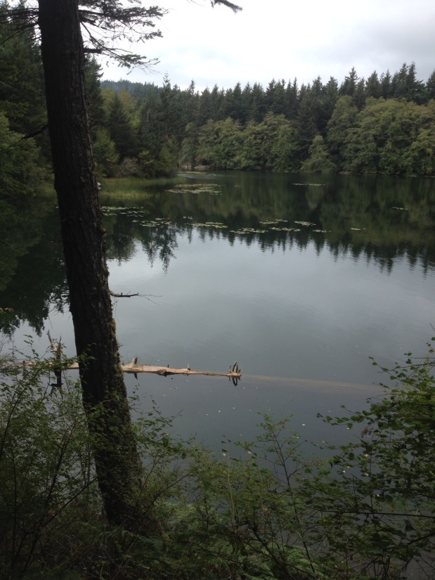 Friday Harbor, San Juan Island and Toga Video&nbsp;#5