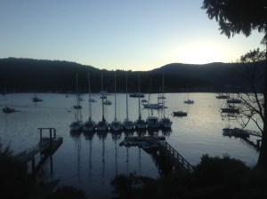 Sceptre's rafted together in Brentwood Bay