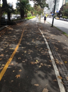 Downtown Vancouver's bike path
