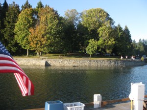 View from the back porch