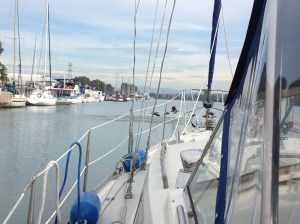 Approaching Shelter Island, Geese give a salute