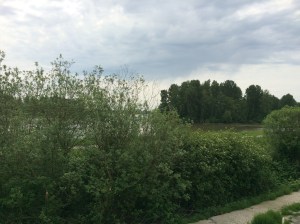 Fraser River from Toga