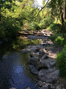 Beautiful Goldstream Park