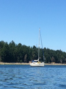 Toga ancohred at Dog Fish