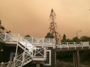 Hazy sky filled with ash clouds