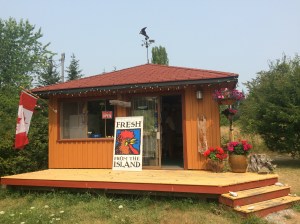 Self-serve farm market! This place was amazing. 