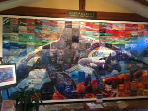 A beautiful collage mural by local artists