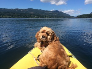 My kayaking buddy