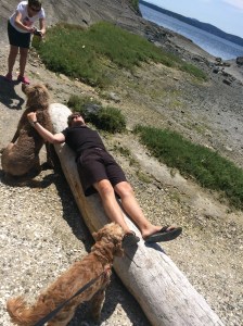 Russell Island - dog and boy friendly