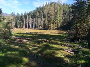 Hiking at Lagoon Cove, Pendrell Sound