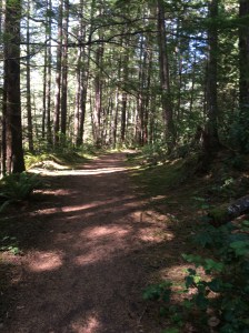 Hiking at Roscoe Bay