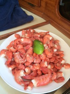 Delicious prawn feast