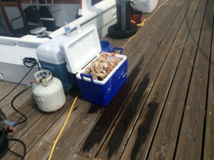 Some of the bounty on our dock
