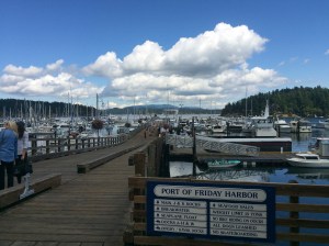 Friday Harbor is a busy place