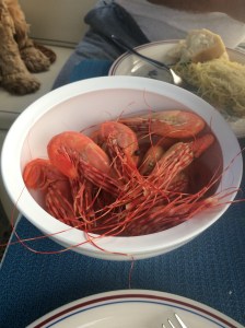 Prawns from Roche Harbor