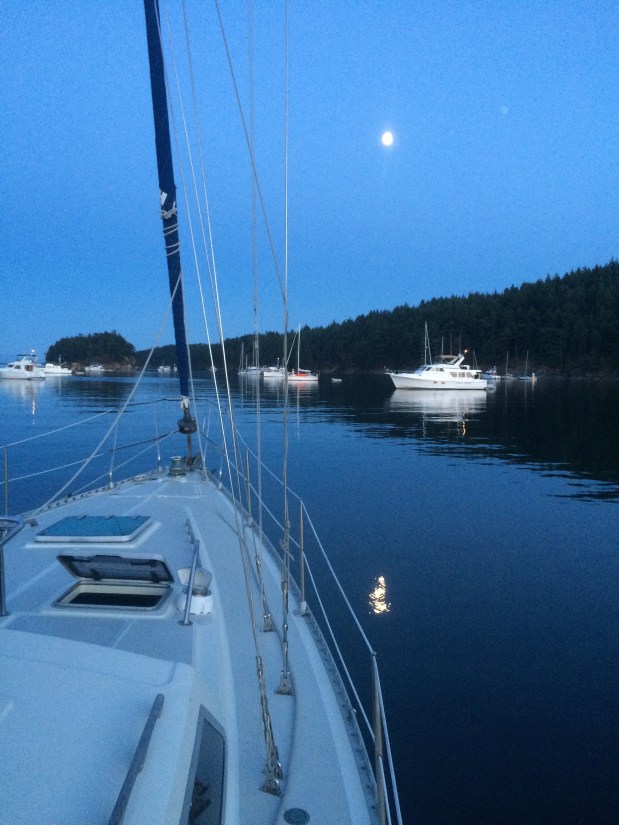 To the USA and back&nbsp;again