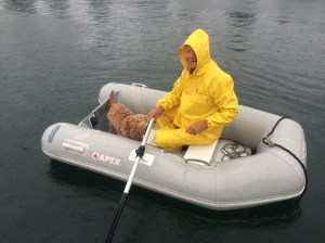 Shore trips in the rain