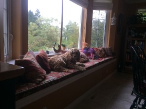 Charlie makes himself at home