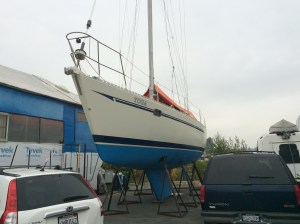 Toga put to bed for the winter