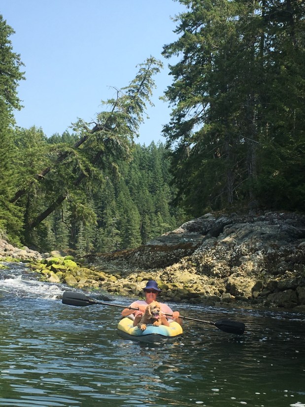 The black art of&nbsp;anchoring